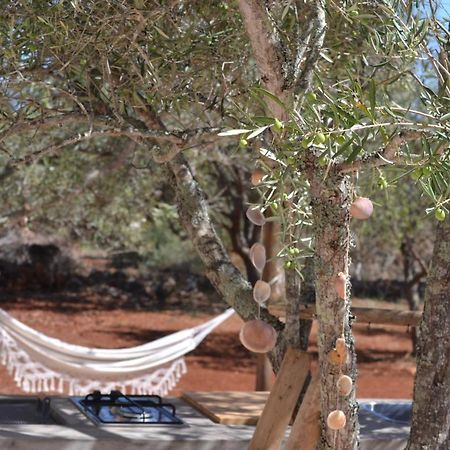 Algarve Olive Tree Lodge Nora  Buitenkant foto