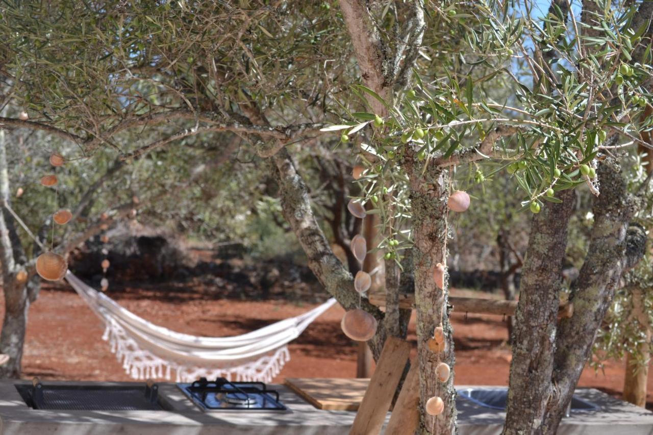 Algarve Olive Tree Lodge Nora  Buitenkant foto